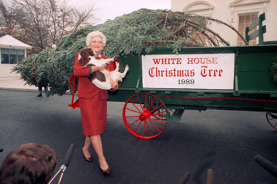 First Lady <strong>Barbara Bush</strong> poses with spaniel Millie as the two greet the tree, December 1989.