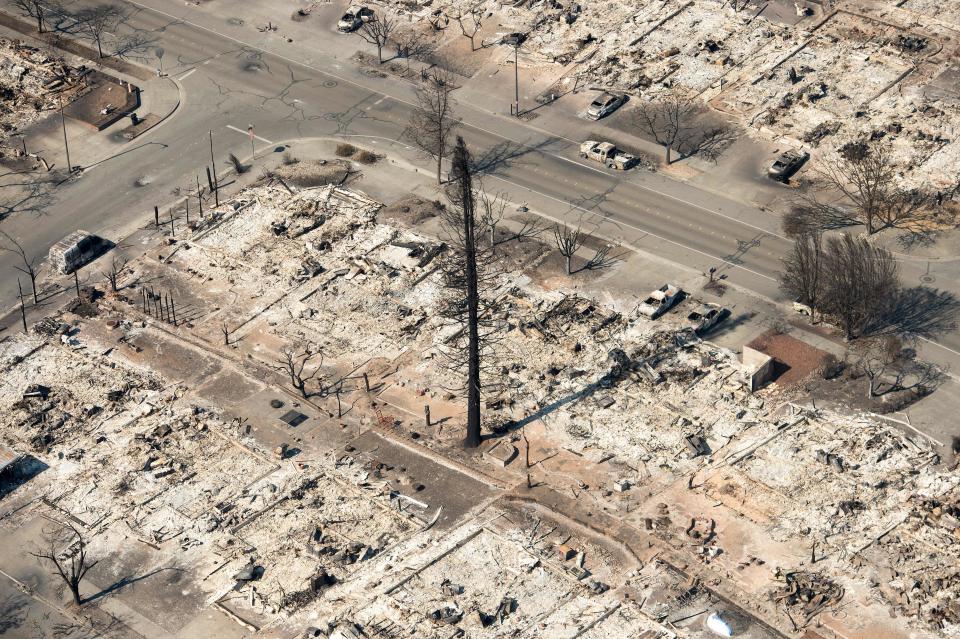 <p>A burned tree stands in the middle of burned properties in Santa Rosa, Calif., on Oct. 12, 2017. (Photo: Josh Edelson/AFP/Getty Images) </p>