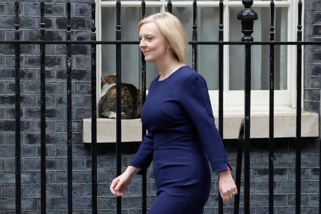 Larry sits in the window with his back turned to Prime Minister Liz Truss in September. (Photo: AP Photo/Kirsty Wigglesworth)