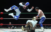 <p>Blue Panther Jr. castiga mediante un codazo a Puma, en las acciones de la lucha semifinal. Foto: Gonzalo López Peralta. </p>