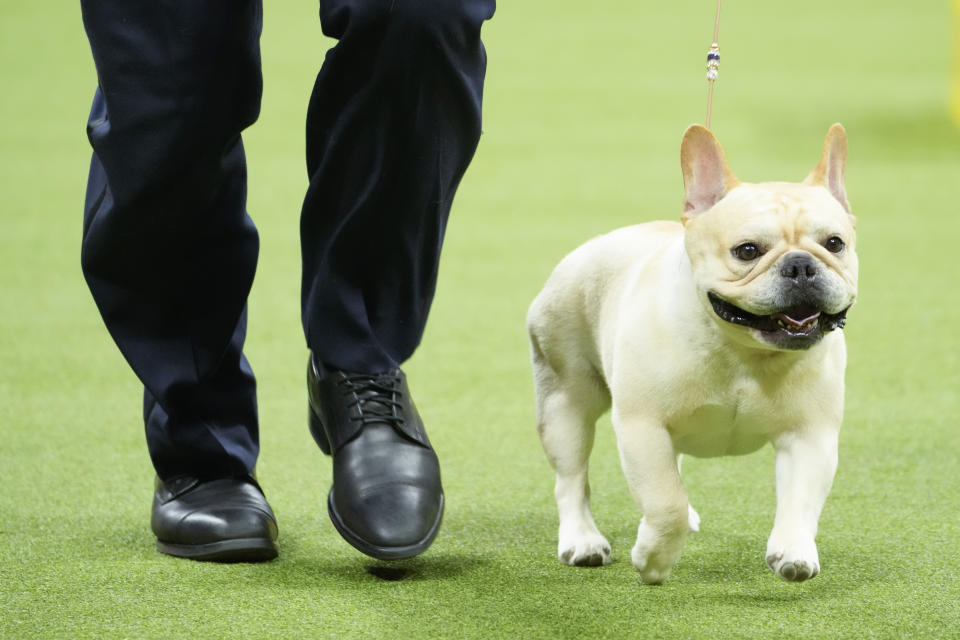 (AP Photo/Mary Altaffer)