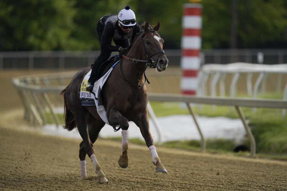 Preakness entrant Crowded Trade works out during a training session ahead of the Preakness Stakes horse race at Pimlico Race Course, Wednesday, May 12, 2021, in Baltimore. (AP Photo/Julio Cortez)