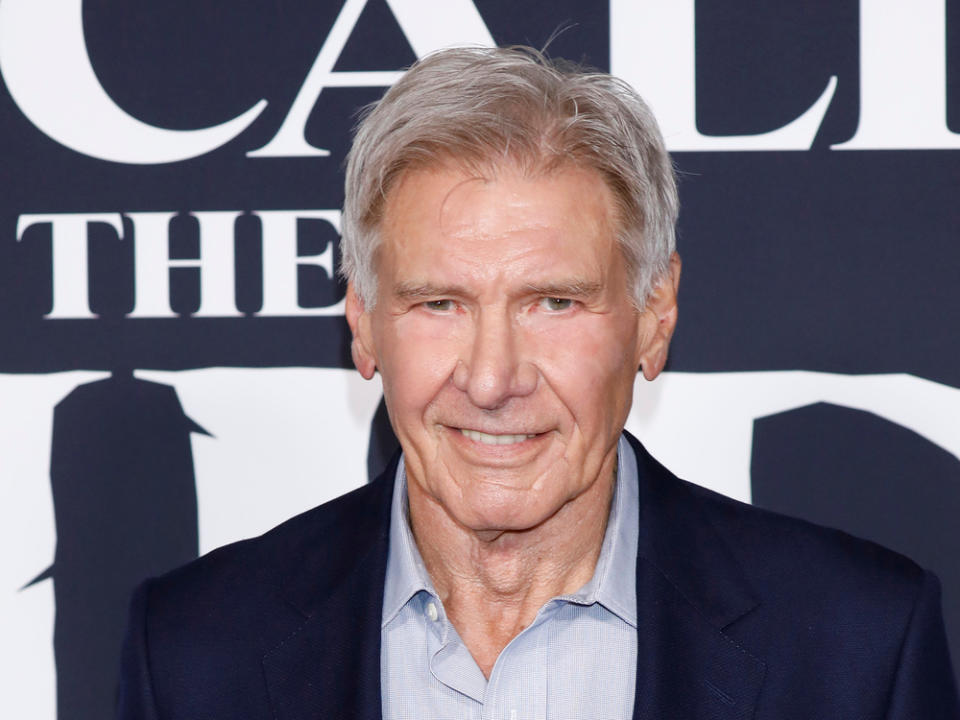 Harrison Ford bei einem Auftritt in Los Angeles (Bild: Kathy Hutchins/Shutterstock.com)