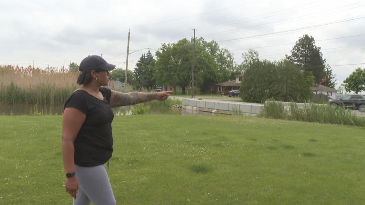 Michelle Baillargeon says her home security cameras captured footage of a Windsor police cruiser hitting a family of geese in front of her home last week.  (Michael Evans/CBC - image credit)