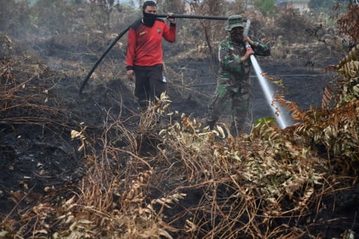 Firefighters are battling round-the-clock through charred forests