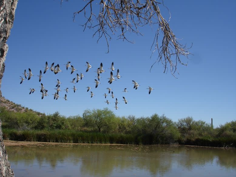 Photo credit: National Park Service