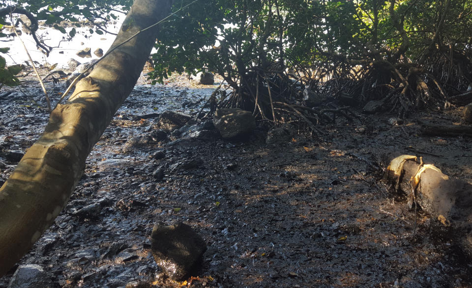 This photo taken and provided by Sophie Seneque, shows debris in Riviere des Creoles, Mauritius, Sunday Aug. 9, 2020, after it leaked from the MV Wakashio, a bulk carrier ship that recently ran aground off the southeast coast of Mauritius. Thousands of students, environmental activists and residents of Mauritius are working around the clock to reduce the damage done to the Indian Ocean island from an oil spill after a ship ran aground on a coral reef. Shipping officials said an estimated 1 ton of oil from the Japanese ship’s cargo of 4 tons has escaped into the sea. Workers were trying to stop more oil from leaking, but with high winds and rough seas on Sunday there were reports of new cracks in the ship's hull. (Sophie Seneque via AP)