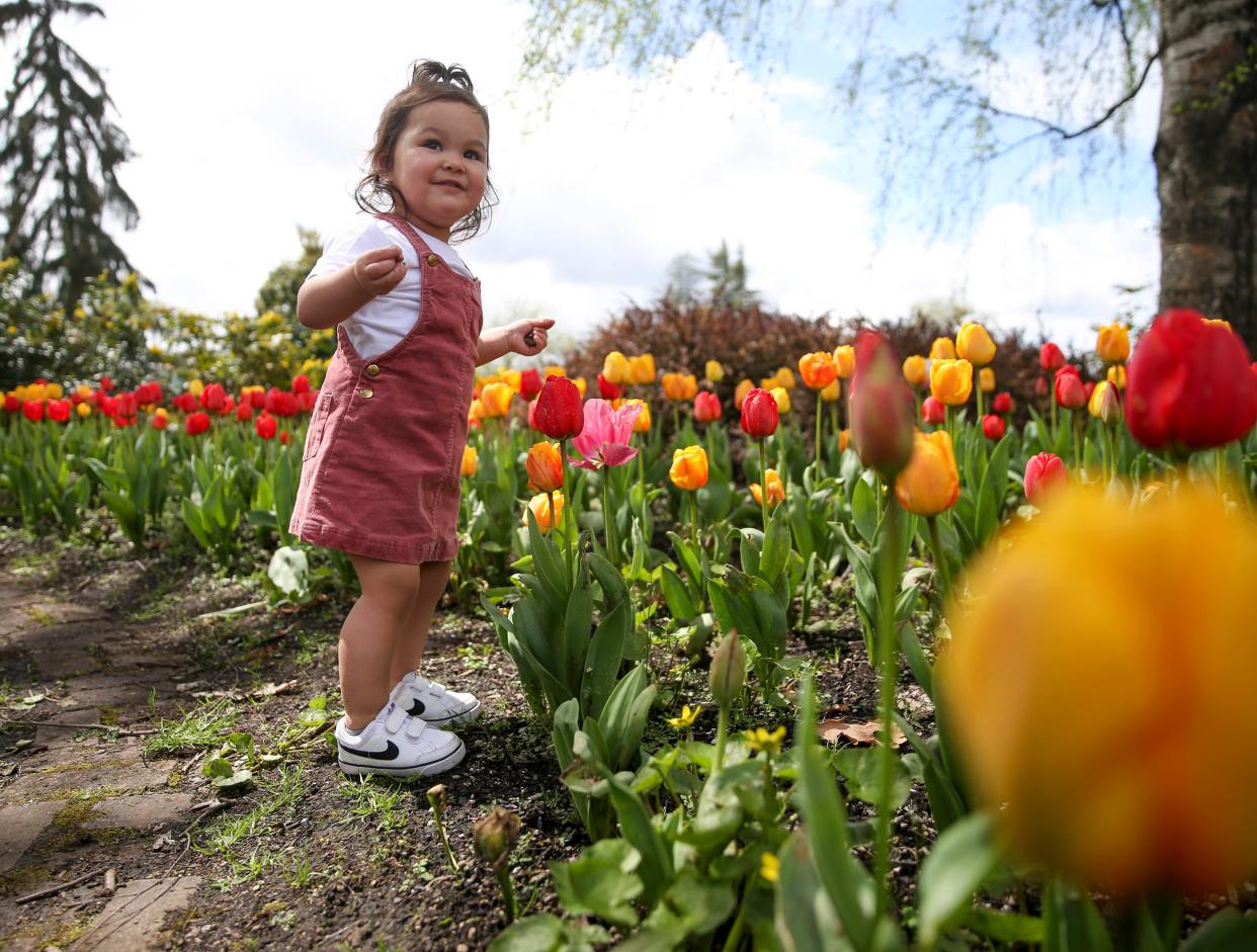 Ariana Cebreros, 1, spends time with her family enjoying warmer temperatures at Bush's Pasture Park on Monday, April 24, 2023 in Salem, Ore.