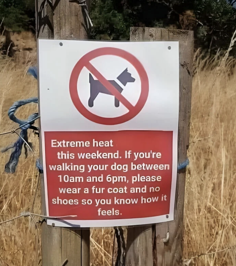 Sign on a wooden post reads: "Extreme heat this weekend. If you're walking your dog between 10am and 6pm, please wear a fur coat and no shoes so you know how it feels."