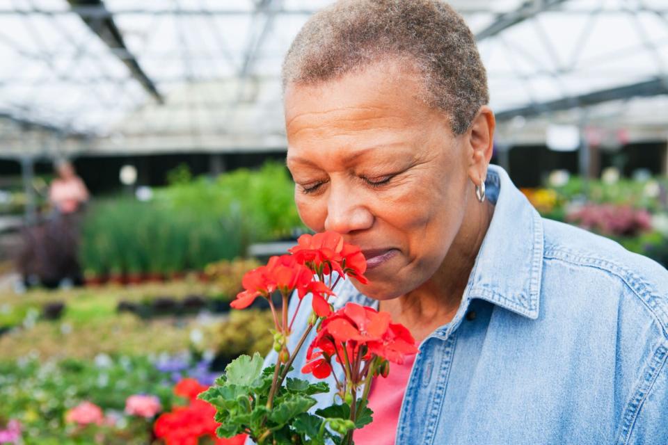 Science Says Our Sense of Smell Has Decreased Over Time