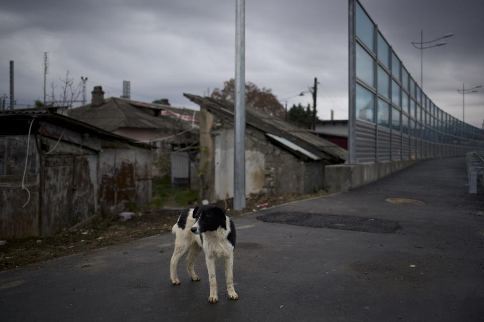 In this photo taken on Wednesday, Nov., 27, 2013, a dog walks on the pavement separating a federal house and the 5a Akatsiy street's house in the village of Vesyoloye outside Sochi, Russia. As the Winter Games are getting closer, many Sochi residents are complaining that their living conditions only got worse and that authorities are deaf to their grievances. (AP Photo/Alexander Zemlianichenko)