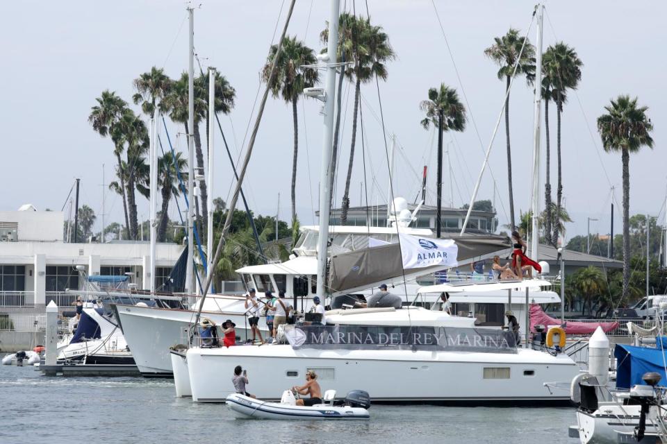 Boats on the water with palm trees in the background