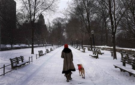 A woman walks her dog in a snow covered Riverside Park in upper Manhattan in New York City, January 3, 2014. REUTERS/Mike Segar