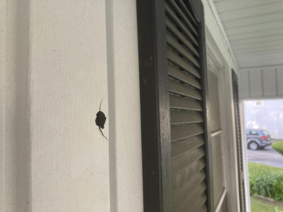 In this Wednesday, April 21, 2021, photo, a bullet hole appears in the front wall of Michael Gordon's home in Elizabeth City, N.C. Gordon says officers who were firing at a fleeing Aaron Brown Jr. hit his house. The bullet passed through two walls before landing on a kitchen counter. (AP Photo/Allen G. Breed)