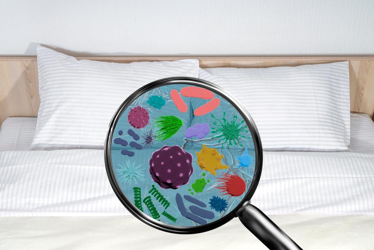 <a href="https://www.shutterstock.com/es/image-photo/magnifying-lens-simulated-germs-viruses-bacteria-2364634799" rel="nofollow noopener" target="_blank" data-ylk="slk:TSViPhoto / Shutterstock;elm:context_link;itc:0;sec:content-canvas" class="link ">TSViPhoto / Shutterstock</a>