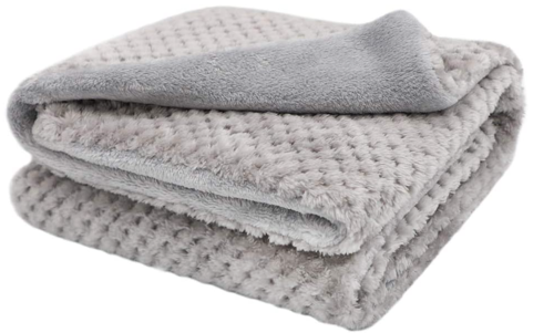 FurryBaby Fleece Blanket