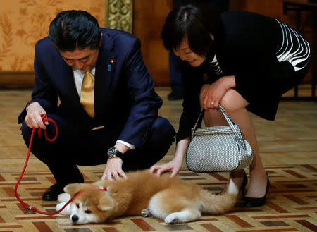 Japanese Prime Minister Shinzo Abe and his wife Akie Abe pet an Akita Inu puppy presented to Russian figure skating gold medallist Alina Zagitova, in Moscow, Russia May 26, 2018. REUTERS/Maxim Shemetov