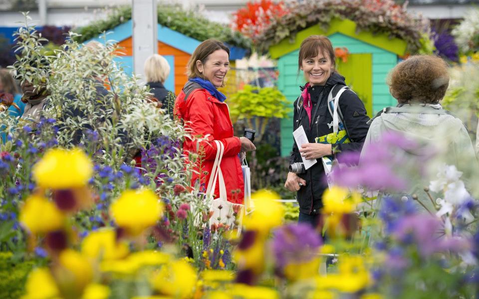 Chelsea Flower Show 2016 - Credit: Geoff Pugh