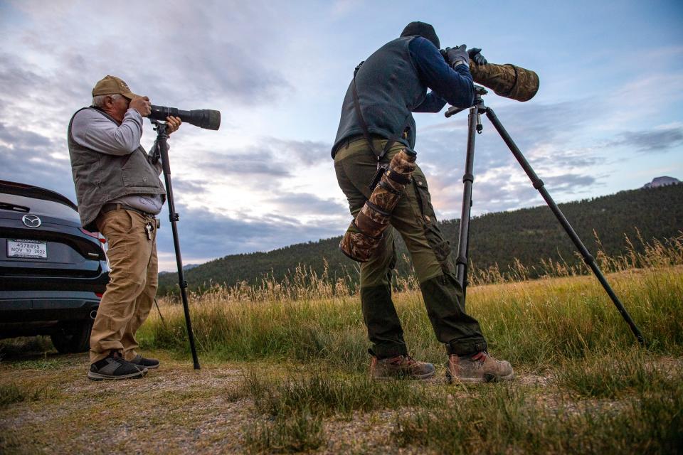 Matthew Ross, right, of Fort Collins, photographs a herd of elk at Moraine Park in Rocky Mountain National Park on Wednesday.