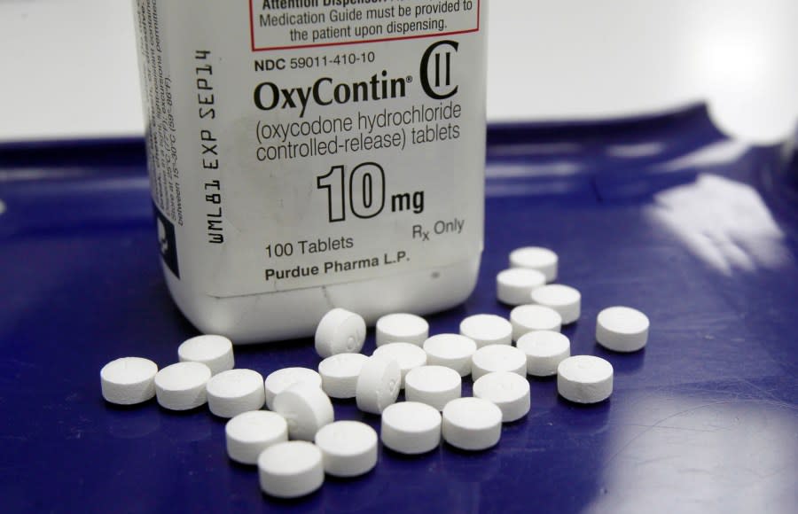 FILE - In this Feb. 19, 2013 file photo, OxyContin pills are arranged for a photo at a pharmacy in Montpelier, Vt. Companies and U.S. government entities have agreed to settlements of lawsuits over the toll of opioids totaling more than $50 billion. (AP Photo/Toby Talbot, File)