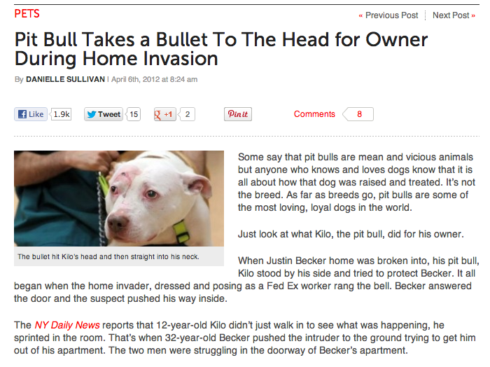 Pit Bull Saves Owner's Life