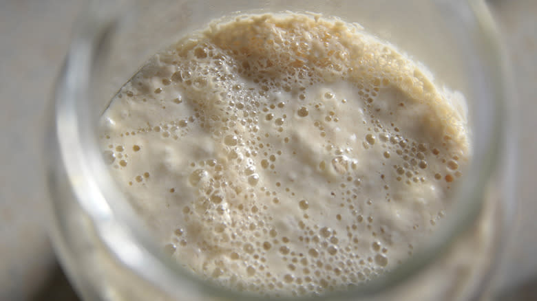 bubbling sourdough starter