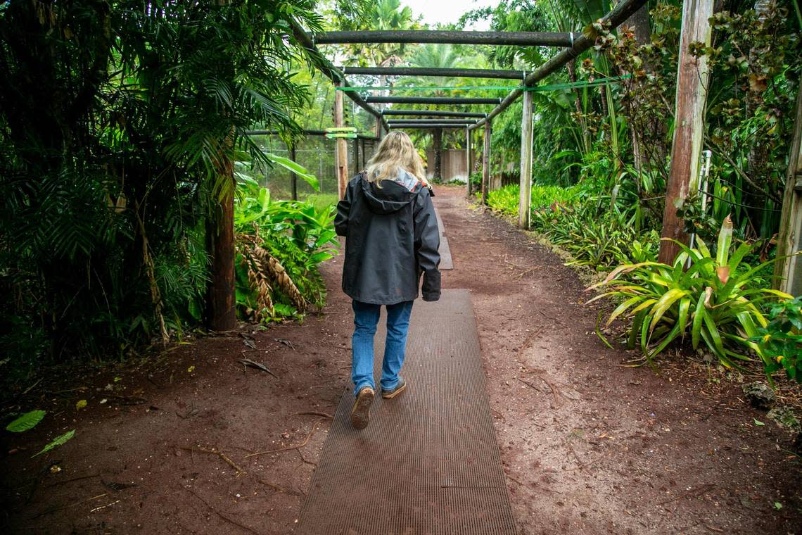 Sharon DuMond, owner of Monkey Jungle, walks in one of the caged trails that explain the attraction’s longtime slogan: “Where Humans are Caged and Monkeys Run Wild.”