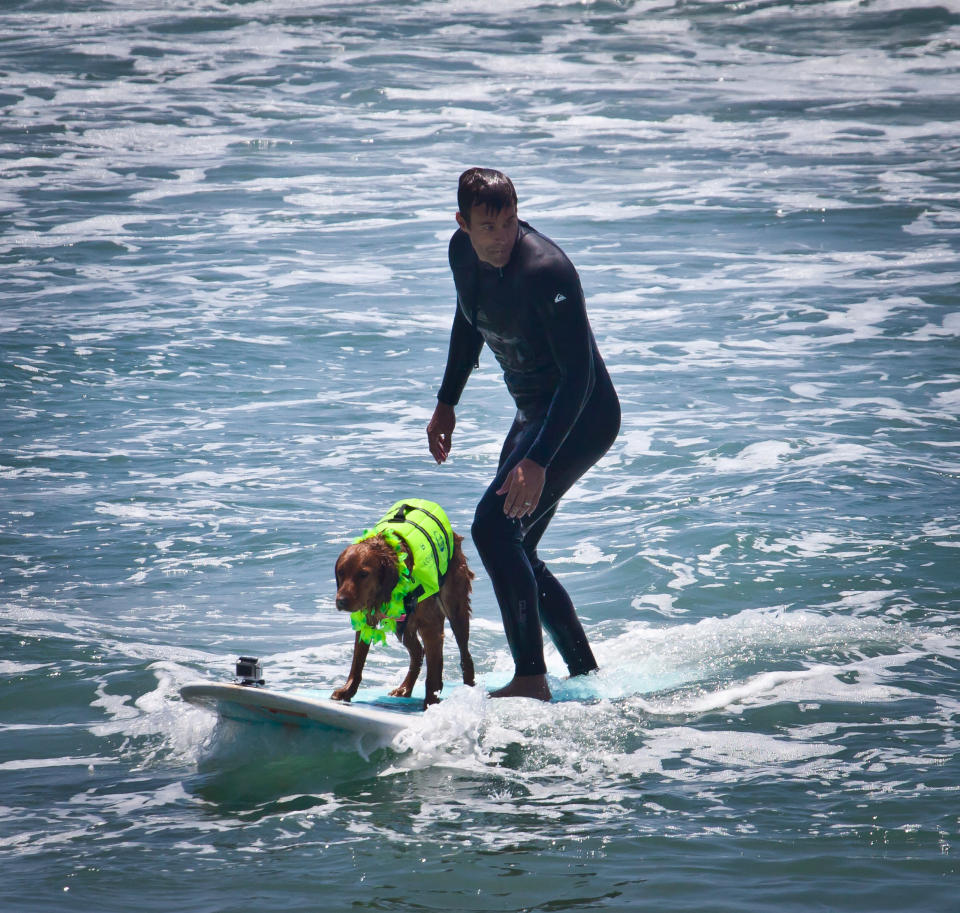 Cameron Mathison and Ricochet surf.