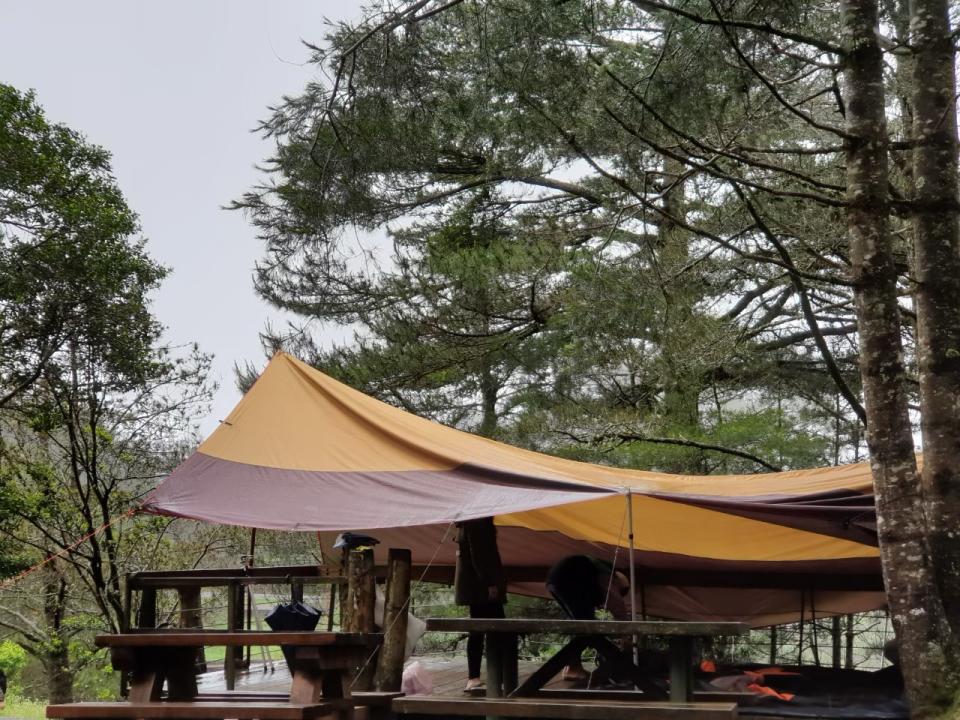 福壽山農場夏季露營人潮不斷，是相當搶手的森林露營區。(攝影：Vivian Liu) 