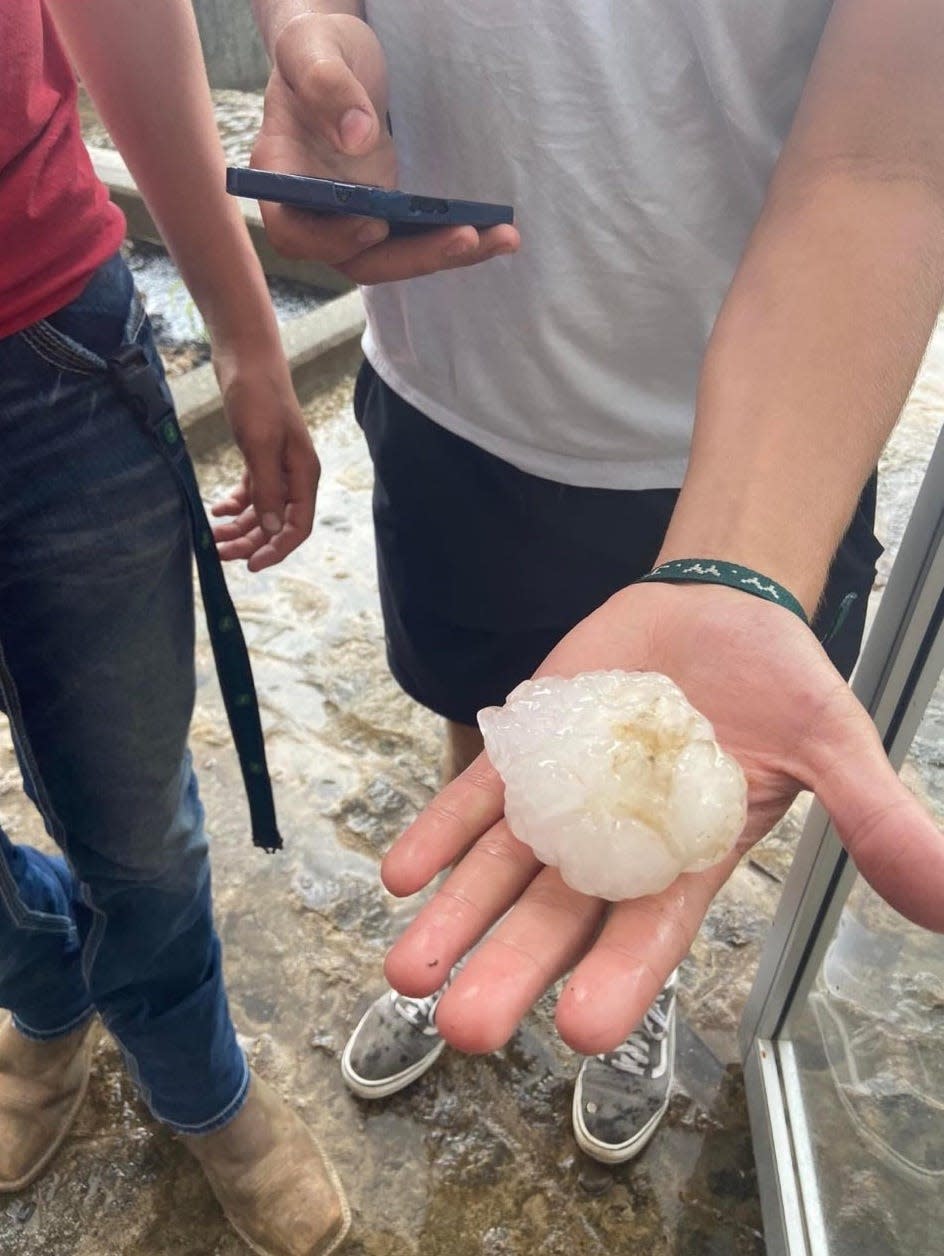 One of the baseball-sized hail stones that fell on cars and buildings at North Posey High School in Poseyville, Indiana on Thursday afternoon.