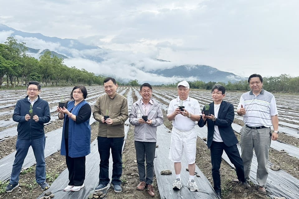 臺東縣政府與Blueseeds芙彤園合作，在池上打造種下7.8公頃薰衣草田，25舉行下苗儀式。