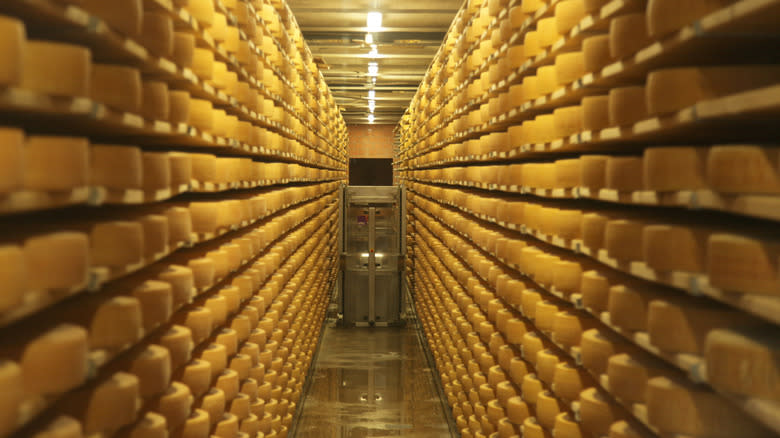 gruyere cheese wheels in switzerland