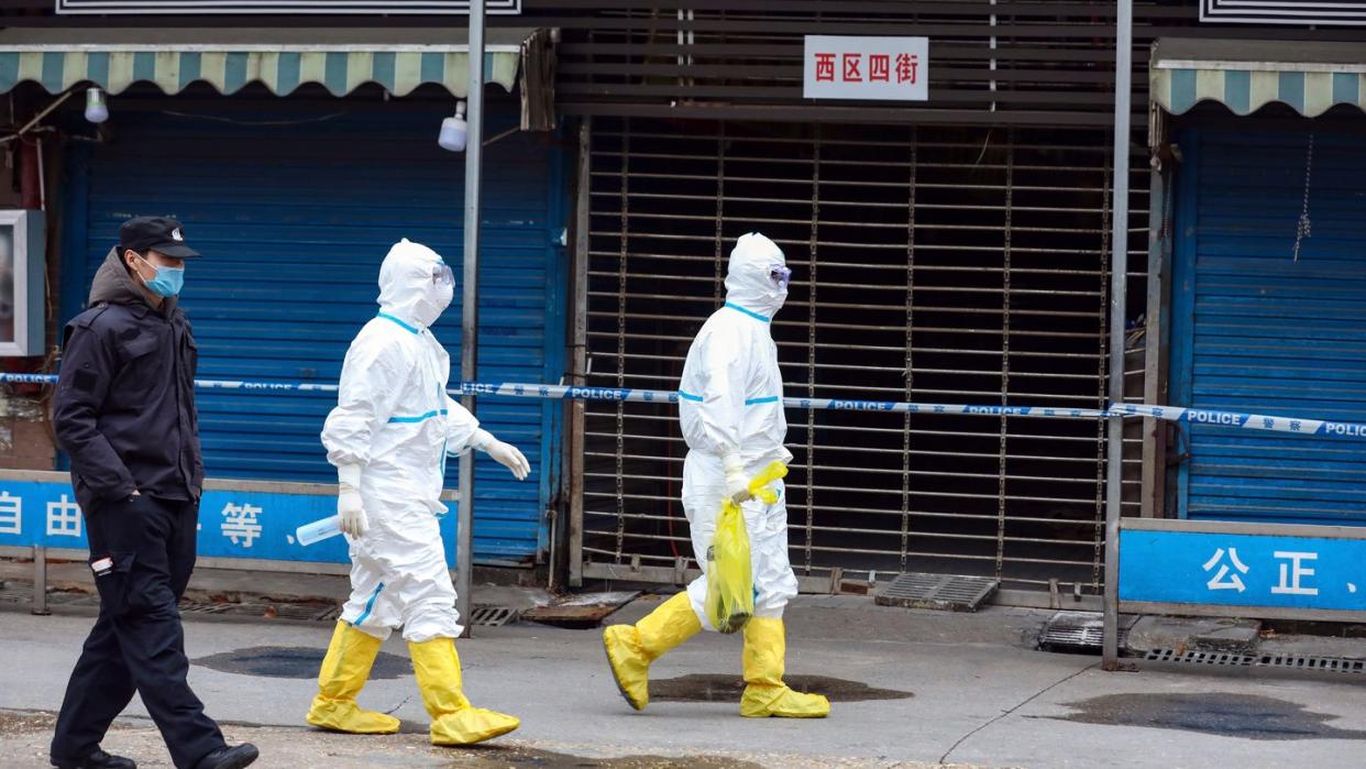 Arbeiter in Schutzkleidung tragen eine Tasche in der sich ein Riesensalamander befindet, der vom Huanan Seafood Market entkommen sein soll.