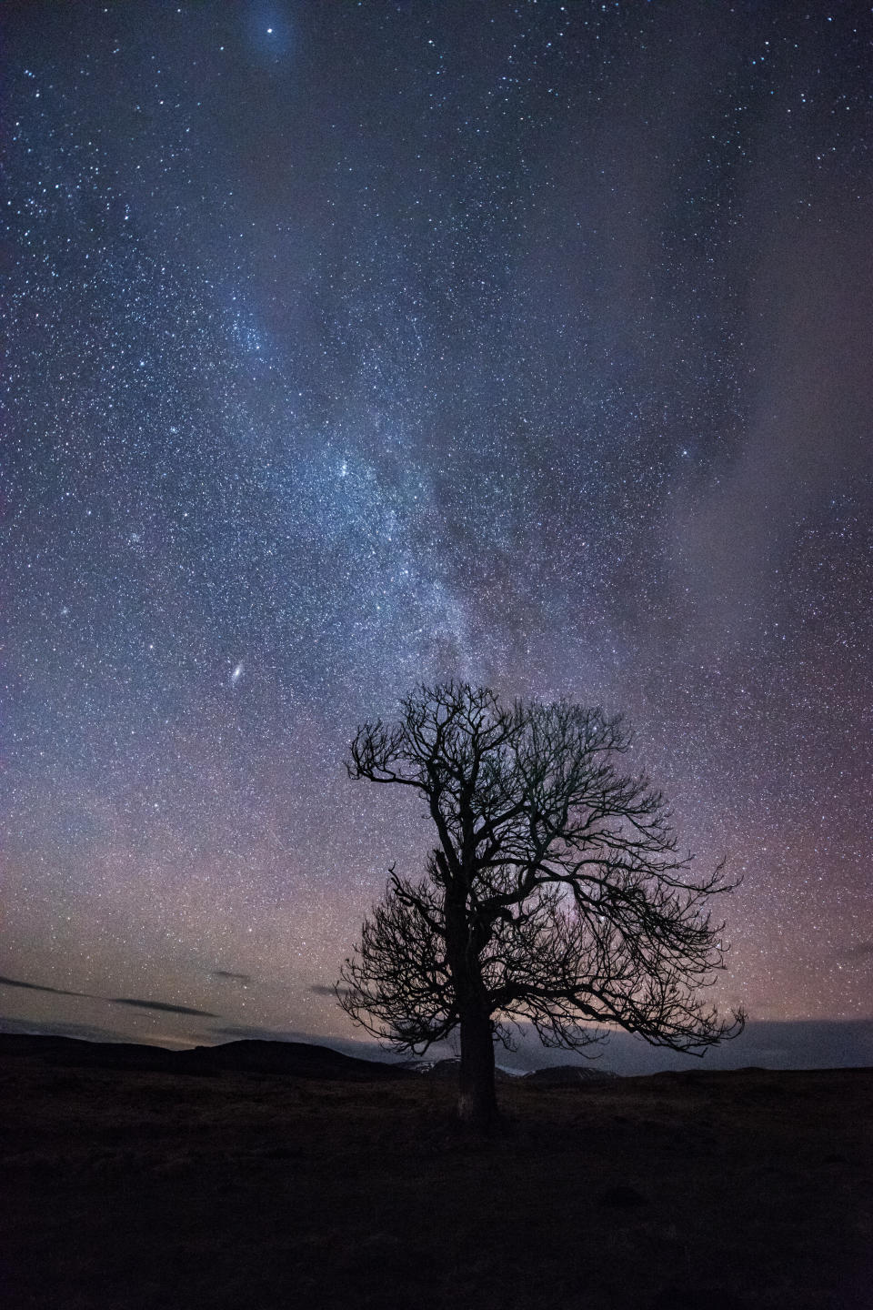 A sample night sky in the Cairngorms. All you need now is a hot chocolate...(Getty Images)