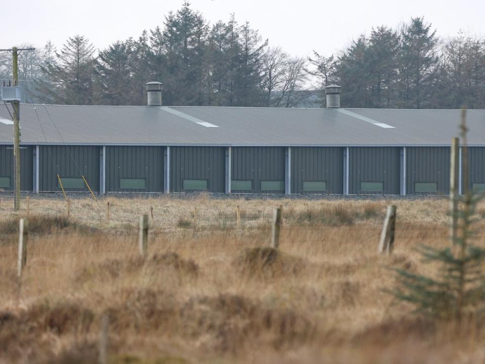 Hens were not seen being let outdoors for four days in a row, it was claimed (Animal Justice Project)