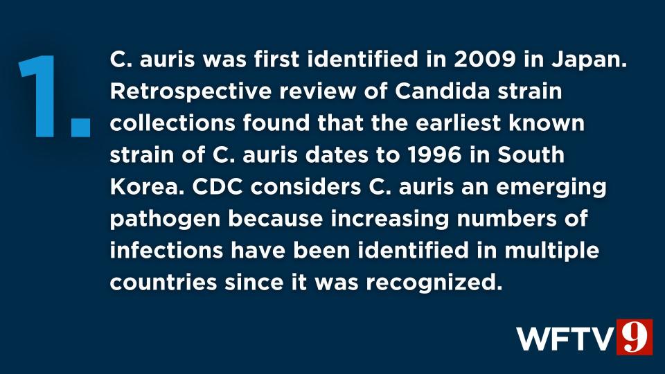 The CDC said Candida auris is a drug-resistant and potentially deadly fungus.