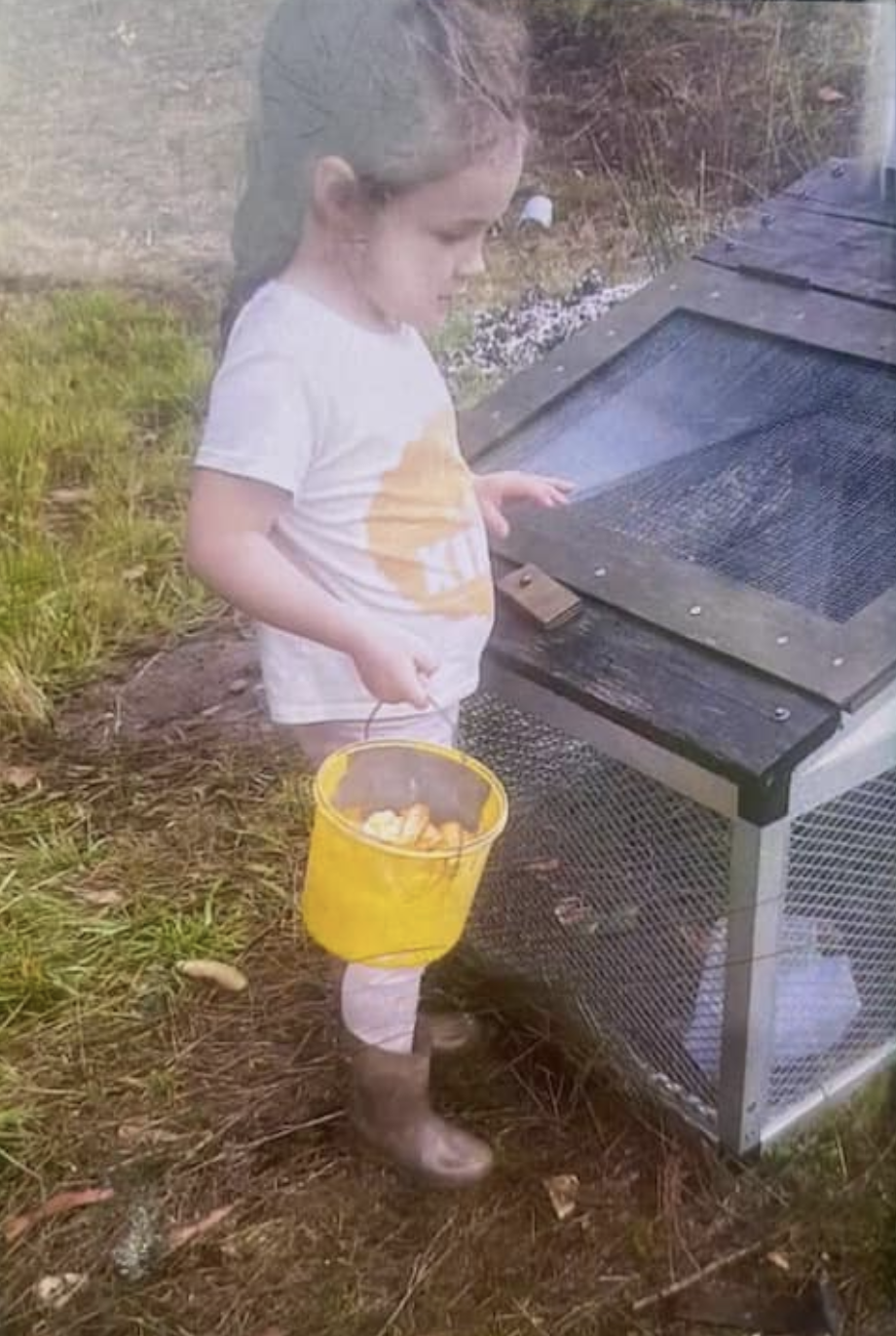 Missing Shayla Phillips feeding chickens in a backyard.