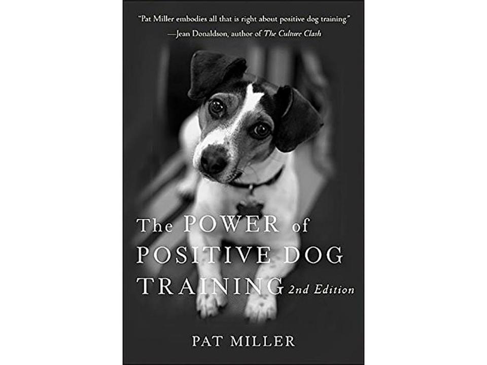 power_positive_dog_training_book