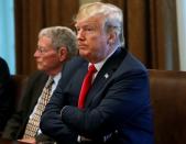 U.S. President Donald Trump participates in a Cabinet meeting, where he discussed immigration policy at the White House in Washington, U.S., June 20, 2018. REUTERS/Leah Milllis