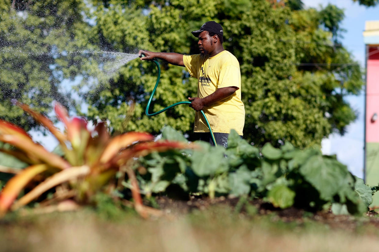 A man uses a hose to water plants in an urban garden.