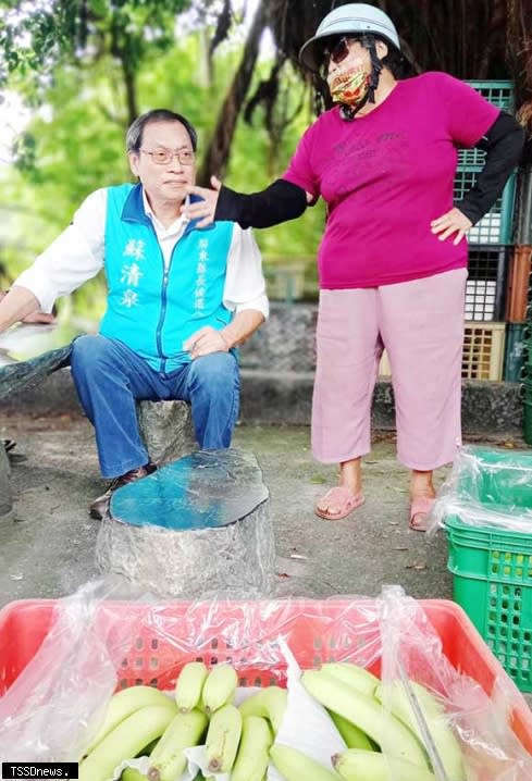 圖：國民黨屏東縣長參選人蘇清泉（左）走訪蕉農、聽取心聲。