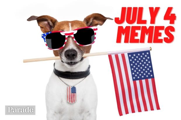 50 4th of July Memes To Help You Celebrate American Independence and ...