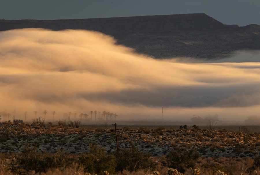 Wave-like fog formations