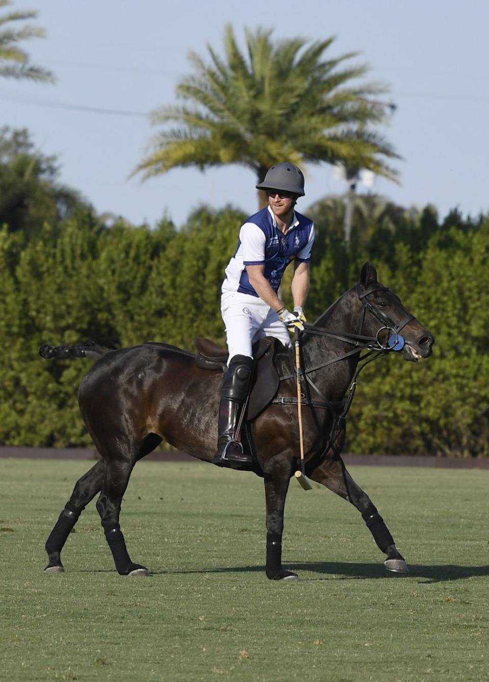 the royal salute polo challenge to benefit sentebale