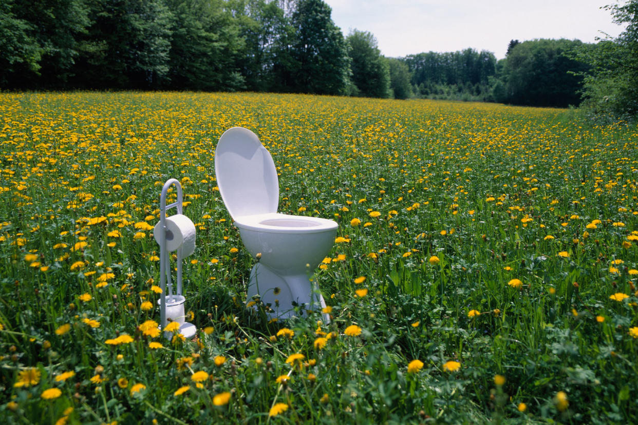 Toilet and toilet paper holder in field of dandelions Getty Images/Hiroshi Higuchi