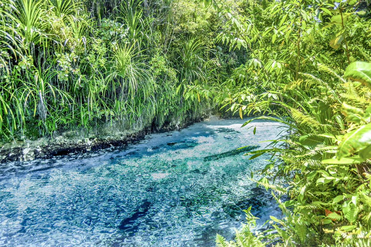 John Darwin now lives on the Hinatuan Enchanted River in the Philippines.