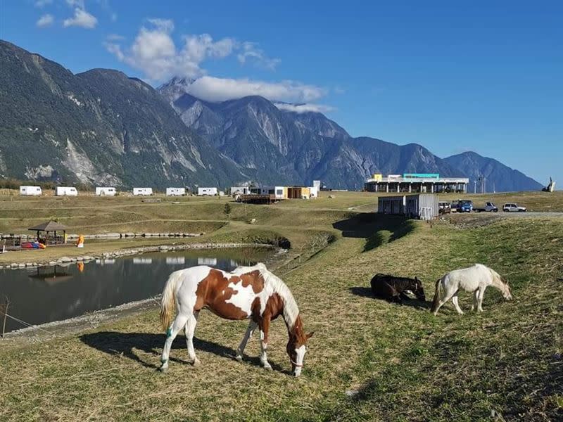 農場裡山清水秀，動物們也悠閒地吃草享受大自然。(圖／翻攝自崇德瑩農場官網)