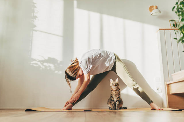 Cat yoga: The mewest exercise trend