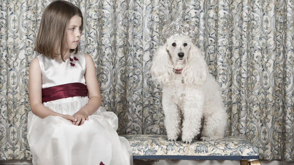 Poodle with tiara on expensive bench with well dressed girl