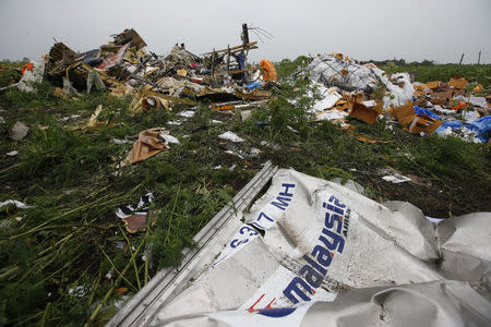 Wreckage from the nose section of a Malaysian Airlines Boeing 777 plane which was downed on Thursday is seen near the village of Rozsypne, in the Donetsk region July 18, 2014. REUTERS/Maxim Zmeyev